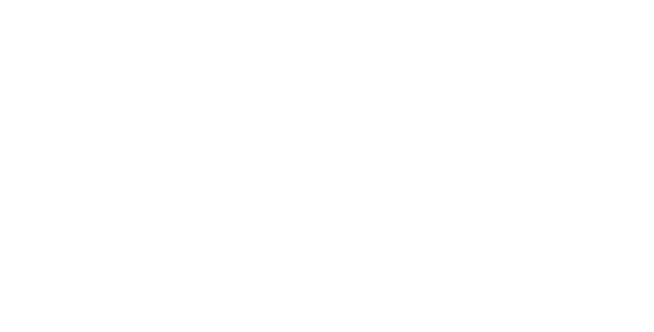 BDS – Business Development Services